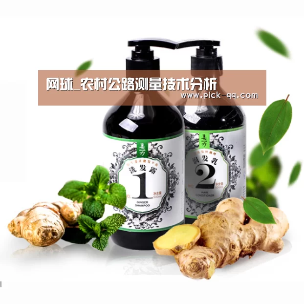 网球_农村公路测量技术分析(图4) 聚合