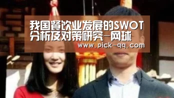我国餐饮业发展的SWOT分析及对策研究-网球